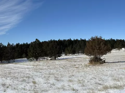 lot13 Harriett Ward Rd, Custer, SD 57730 photo 23
