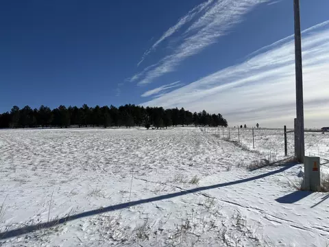 lot13 Harriett Ward Rd, Custer, SD 57730 photo 22