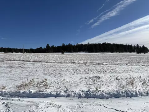 lot13 Harriett Ward Rd, Custer, SD 57730 photo 28