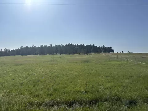 lot13 Harriett Ward Rd, Custer, SD 57730 photo 12