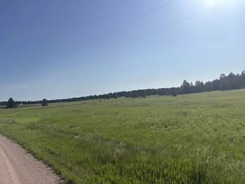lot13 Harriett Ward Rd, Custer, SD 57730 photo 3