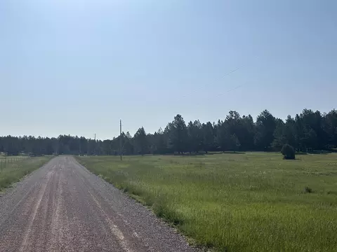 lot13 Harriett Ward Rd, Custer, SD 57730 photo 7