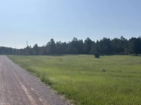 lot13 Harriett Ward Rd, Custer, SD 57730 photo 6