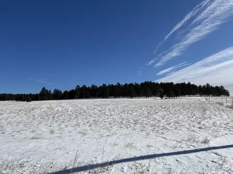 lot13 Harriett Ward Rd, Custer, SD 57730 photo 21