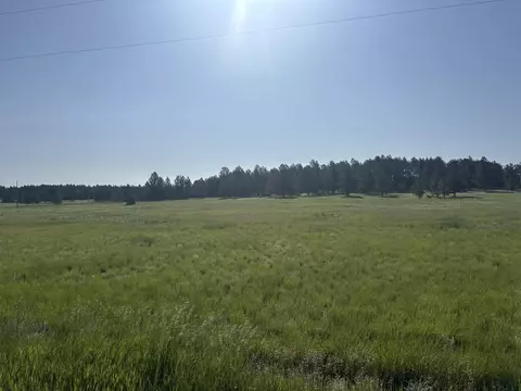 lot13 Harriett Ward Rd, Custer, SD 57730