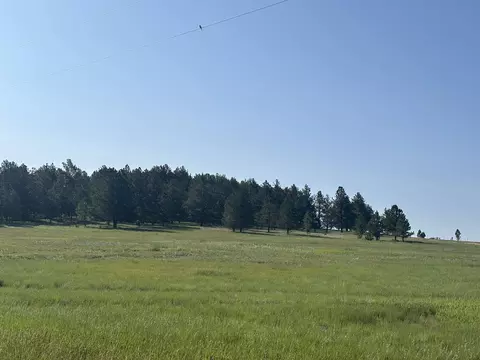 lot13 Harriett Ward Rd, Custer, SD 57730 photo 8