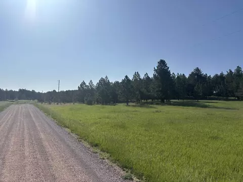 lot13 Harriett Ward Rd, Custer, SD 57730 photo 11