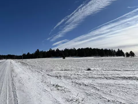 lot13 Harriett Ward Rd, Custer, SD 57730 photo 29