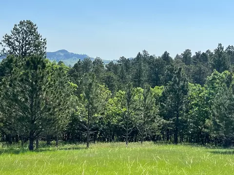 tbd Lot 7 Niobrara Dr, Whitewood, SD 57793