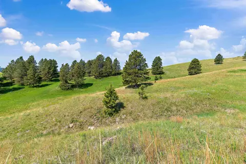 3949 Twisted Oak Rd, Sturgis, SD 57785 photo 10