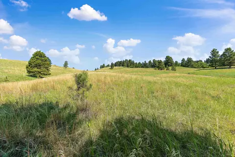 3949 Twisted Oak Rd, Sturgis, SD 57785 photo 16