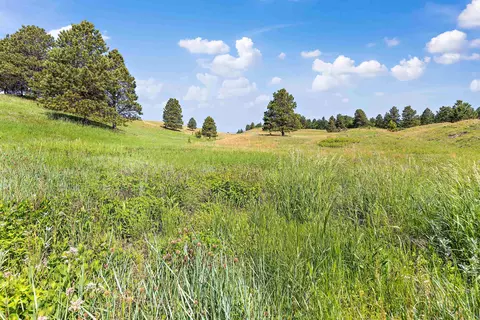 3949 Twisted Oak Rd, Sturgis, SD 57785 photo 12