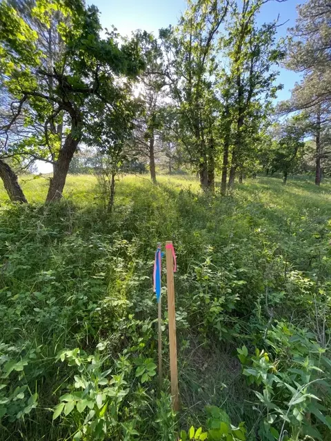 lot9 Block 1 Cedar Berry Dr, Spearfish, SD 57783 photo 13