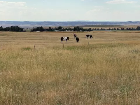 lot9 Block 1 Cedar Berry Dr, Spearfish, SD 57783 photo 18
