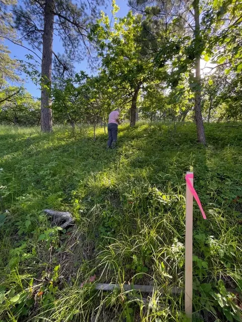 lot9 Block 1 Cedar Berry Dr, Spearfish, SD 57783 photo 15