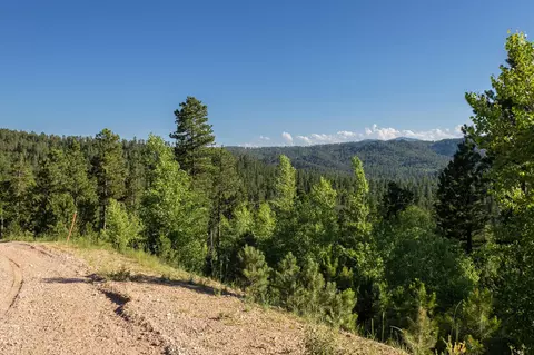 lot134 Other, Lead, SD 57754 photo 24