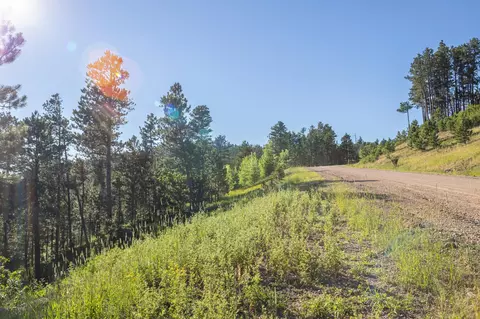 lot134 Other, Lead, SD 57754 photo 28