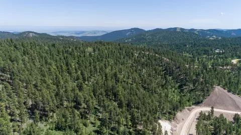 lot134 Other, Lead, SD 57754 photo 12