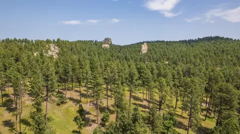 13270 Three Meadows Rd, Keystone, SD 57751 photo 16