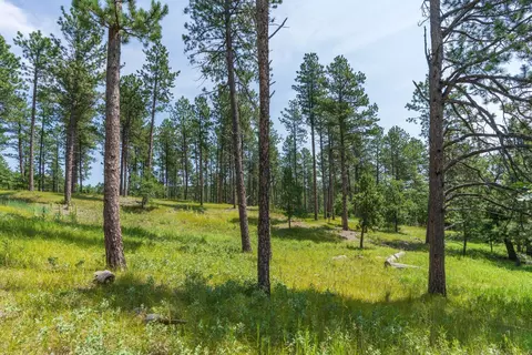 13270 Three Meadows Rd, Keystone, SD 57751 photo 2