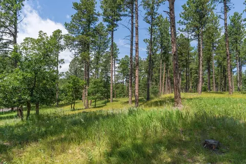 13270 Three Meadows Rd, Keystone, SD 57751 photo 11
