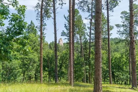 13270 Three Meadows Rd, Keystone, SD 57751 photo 5