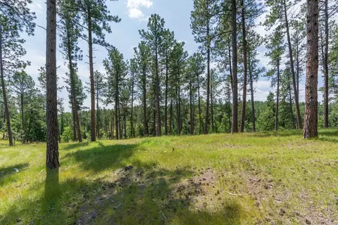 13270 Three Meadows Rd, Keystone, SD 57751 photo 6