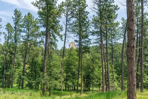 13270 Three Meadows Rd, Keystone, SD 57751 photo 8