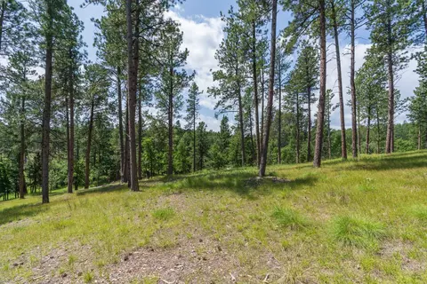 13270 Three Meadows Rd, Keystone, SD 57751 photo 9