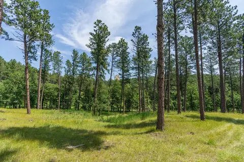 13270 Three Meadows Rd, Keystone, SD 57751 photo 7