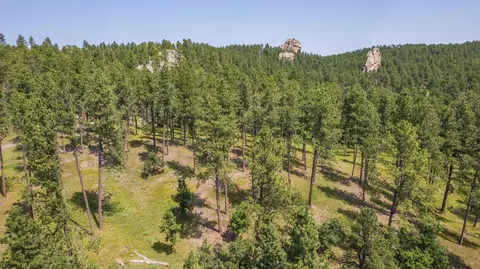 13270 Three Meadows Rd, Keystone, SD 57751 photo 12