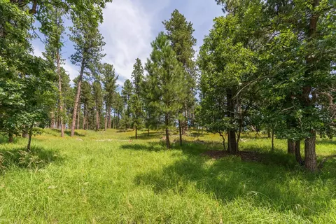 13270 Three Meadows Rd, Keystone, SD 57751 photo 18