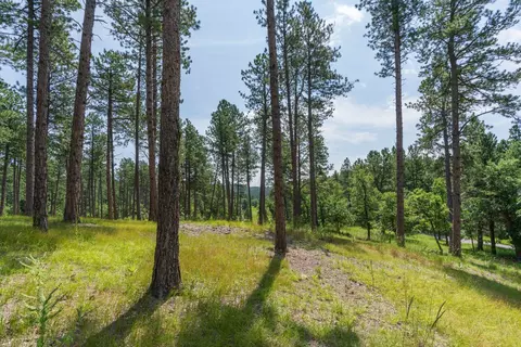 13270 Three Meadows Rd, Keystone, SD 57751 photo 3