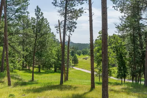 13270 Three Meadows Rd, Keystone, SD 57751 photo 10