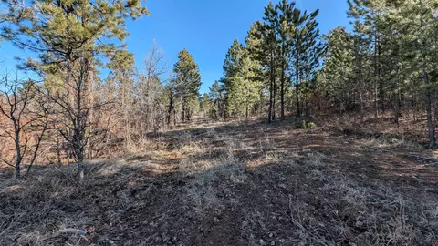 lot 3, Spearfish, SD 57783 photo 33
