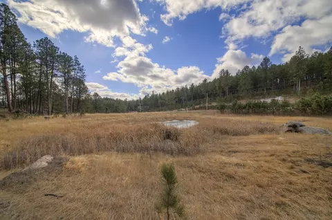 Park 1 Laramie Trail, Custer, SD 57730 photo 2