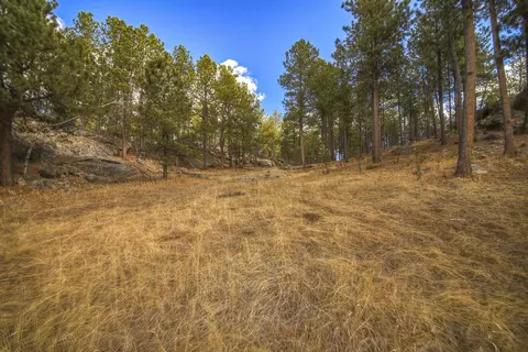 Park 1 Laramie Trail, Custer, SD 57730 photo 5