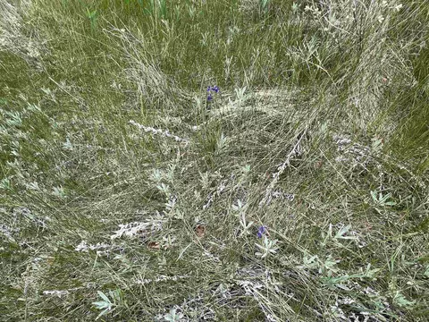 lot10 Summit Pass, Whitewood, SD 57793 photo 22
