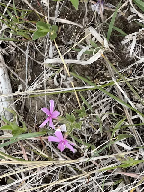 lot10 Summit Pass, Whitewood, SD 57793 photo 15