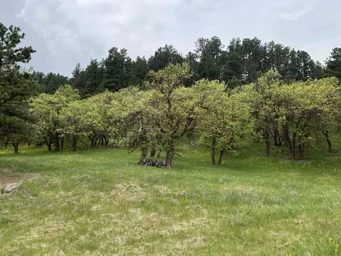 lot10 Summit Pass, Whitewood, SD 57793 photo 29