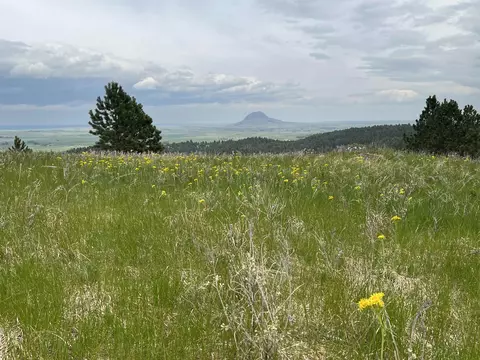 lot10 Summit Pass, Whitewood, SD 57793 photo 30