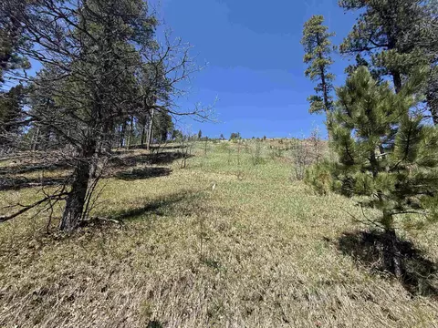 tbd Two Bit Rd, Sturgis, SD 57785 photo 9