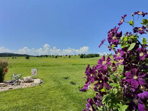 3511 Roughlock Ln, Spearfish, SD 57783 photo 34