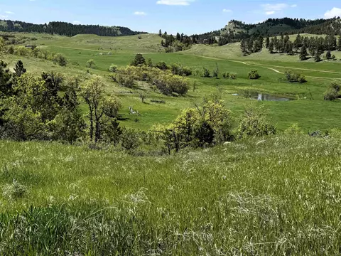 E11 Black Bear Road, Hulett, WY 82720
