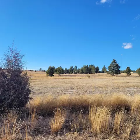 tbd Circle Dr, Edgemont, SD 57735