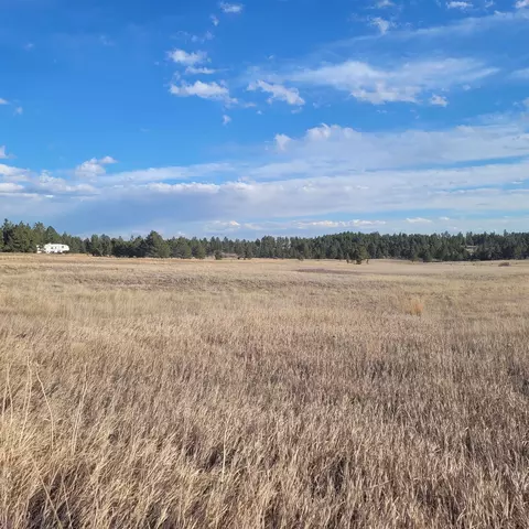 tbd Circle Dr, Edgemont, SD 57735 photo 15