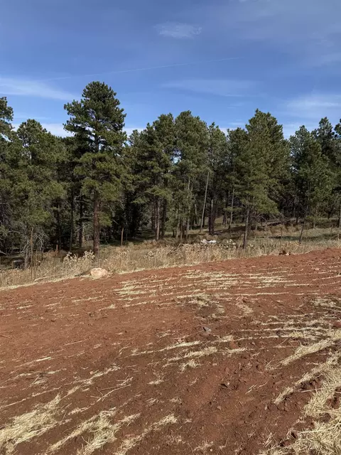 5824 Wind River Rd, Rapid City, SD 57702