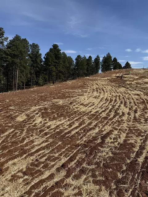 5746 Wind River Rd, Rapid City, SD 57702