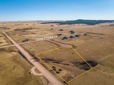 3651 Wrangler Ct, Piedmont, SD 57769