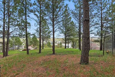 6406 Blue Spruce Ct, Black Hawk, SD 57718 photo 12